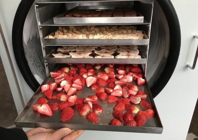 FD Strawberry0.0 FD Strawberry0.0